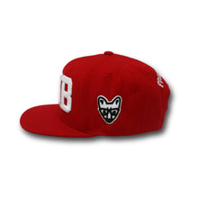 Load image into Gallery viewer, FXB Signature Snapback